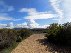 1 Bed Garden Cottage in Fisherhaven
