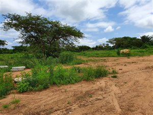 600 m² Land available in Riverside Park