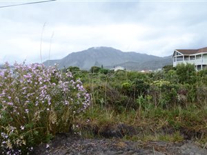 881 m² Land available in Pringle Bay