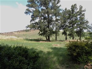 Game Farm in Magaliesburg