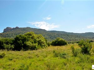Farm in Marquard