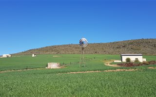 1665 ha Farm in Bonnievale