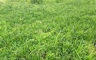 560 m² Land available in Amandelsig