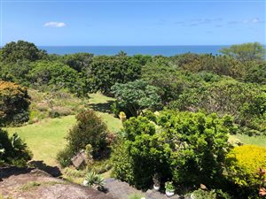 3 Bed Apartment in Southbroom