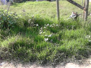 253 m² Land available in Potsdam