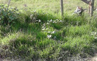 253 m² Land available in Potsdam