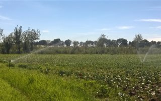 2000 m² Commercial space in Tarlton