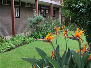 3 Bed House in Benoni Central
