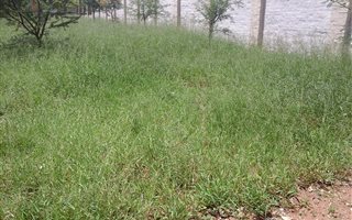 600 m² Land available in Serala View