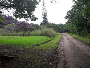 1360 m² Land available in Munster
