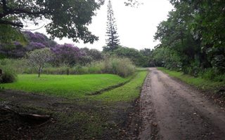 1360 m² Land available in Munster