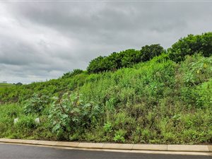 583 m² Land available in Palm Lakes Estate