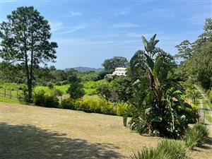 2.5 ha Farm in Port Edward