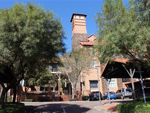 1 Bed Apartment in Newlands