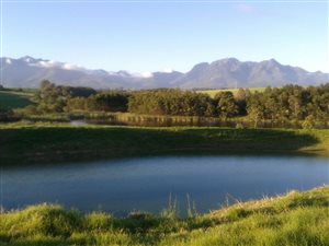 13 ha Farm in George Central