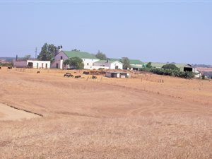 1090 ha Farm in Moorreesburg
