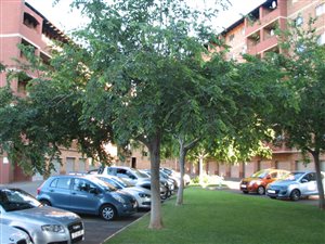 2 Bed Apartment in Zwartkop