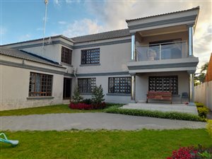 12 Bed House in Flora Park