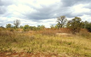 1100 m² Land available in Tijger Valley and surrounds