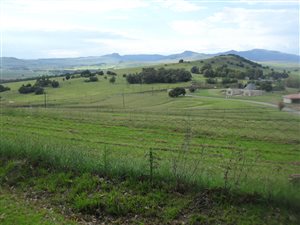8910 m² Land available in Kokstad
