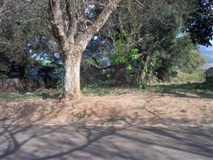 1115 m² Land available in Graskop