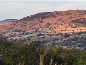 400 ha Farm in Mooi River
