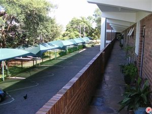 1 Bed Apartment in Waverley