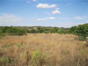 4 ha Land available in Rietfontein