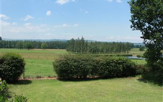 20 ha Farm in Lions River