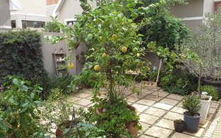 3 Bedroom Townhouse in Lilyvale