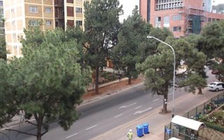 1 Bedroom Apartment in Arcadia