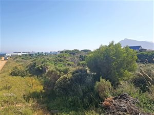 1575 m² Land available in Pringle Bay