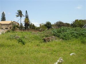 1115 m² Land available in Desainagar