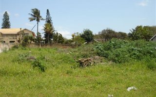 1115 m² Land available in Desainagar