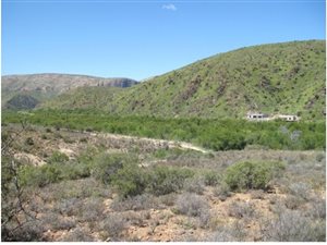5.1 ha Land available in Calitzdorp
