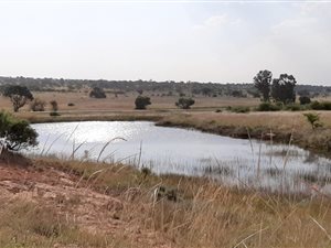 10 ha Farm in Wonderboom AH