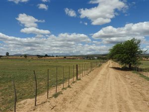 48 ha Farm in Oudtshoorn