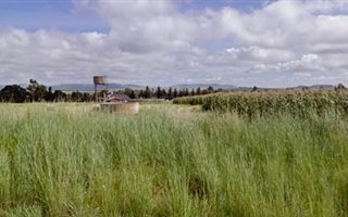2974 m² Land available in Memel