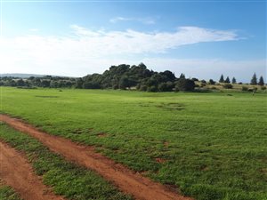 21.4 ha Farm in Krugersdorp Central