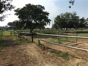 12.4 ha Farm in Zwavelpoort