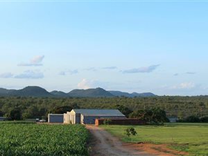 27 ha Land available in Malelane