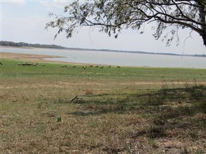 2 ha Land available in Vaalpark