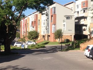 1 Bed Apartment in Houghton Estate