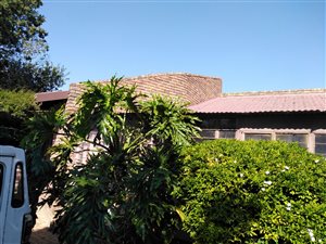 3 Bed House in Cresslawn