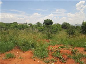 1047 m² Land available in Seasons Lifestyle Estate