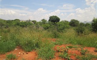 1047 m² Land available in Seasons Lifestyle Estate