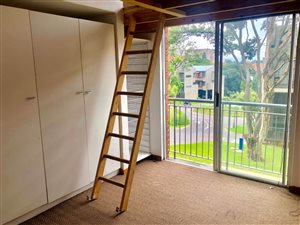 1 Bed Apartment in Houghton Estate