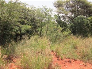 940 m² Land available in Seasons Lifestyle Estate