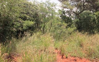 940 m² Land available in Seasons Lifestyle Estate