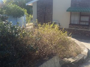 4 Bed House in Amalinda North